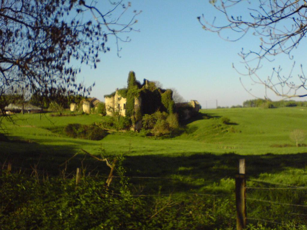 Les Champys Vendégház Saint-Péreuse Kültér fotó